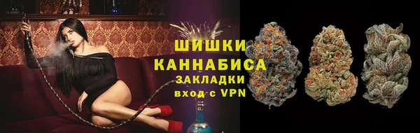 МДПВ Нея