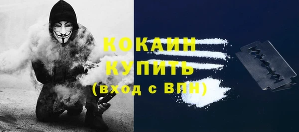 МДПВ Нея