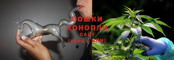 МДПВ Нея