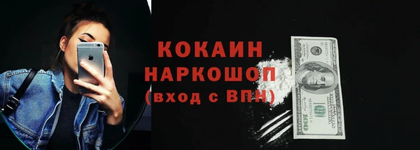 МДПВ Нея