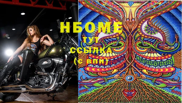 МДПВ Нея