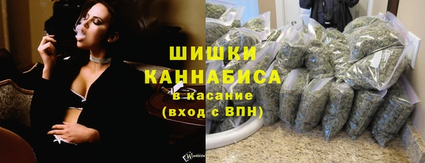 МДПВ Нея
